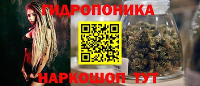 винт Гай