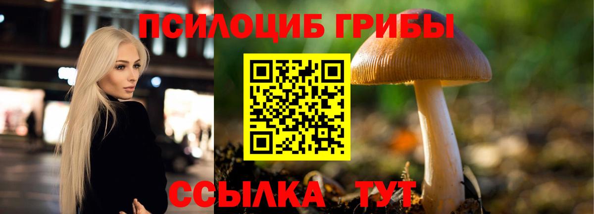 Псилоцибиновые грибы GOLDEN TEACHER Можга